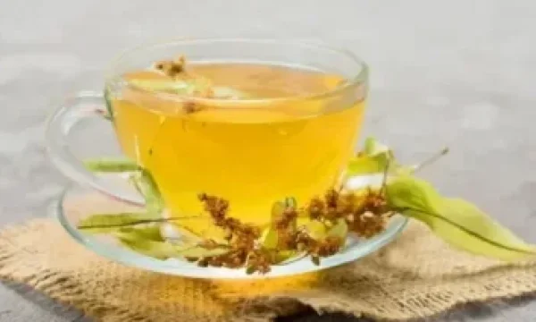 Bitki Çayları